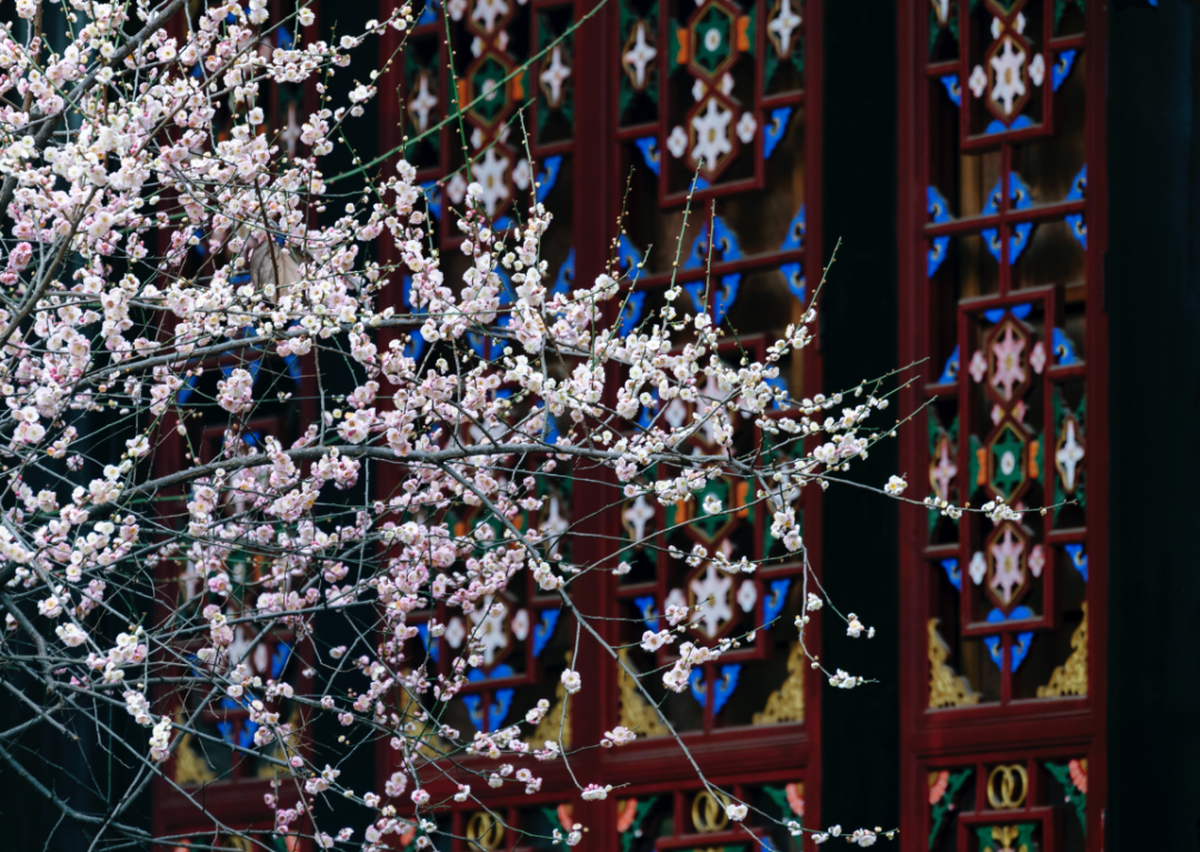 首秀成都，大有来头！插图21