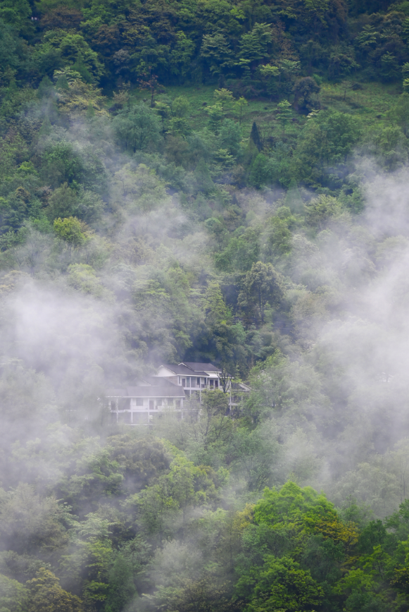 首秀成都，大有来头！插图20