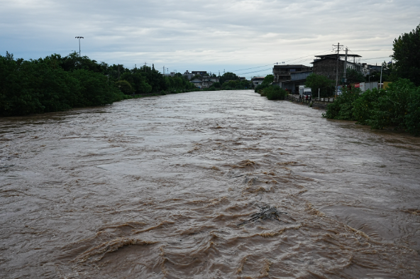 西江河洪峰缓慢消退，预计11日凌晨退至警戒水位插图1