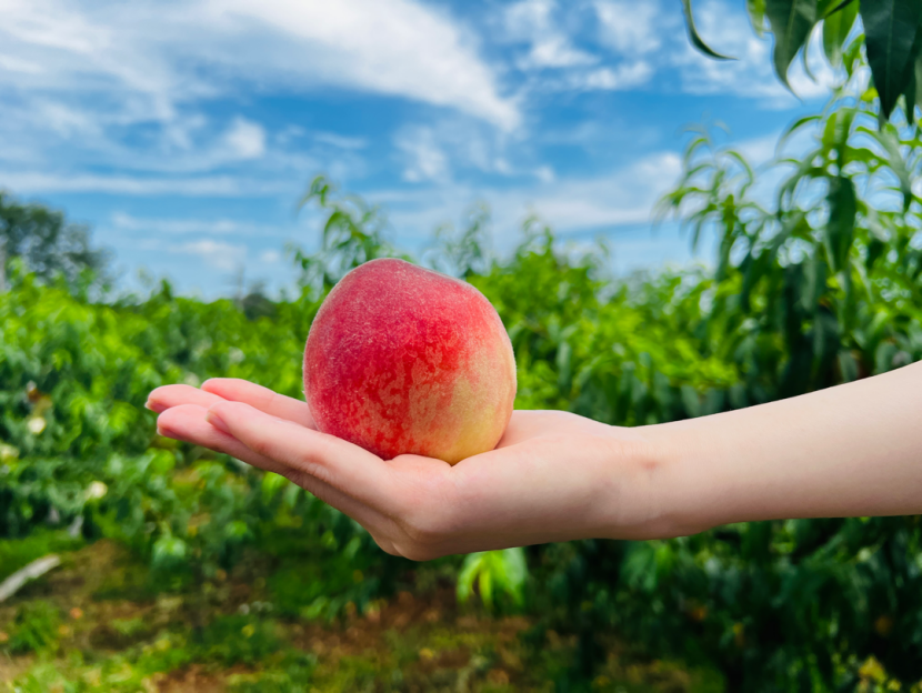 冲上热搜！成都人：这个我真熟！插图25