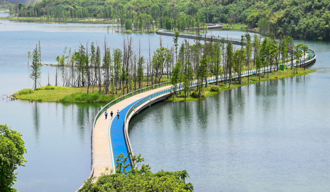 定了，预计6月25日晚查分！毕业旅行，安排→插图74