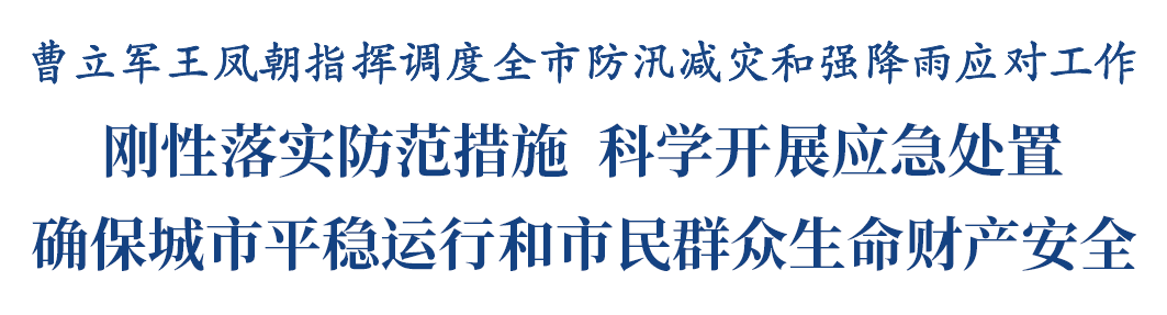 曹立军王凤朝指挥调度全市防汛减灾和强降雨应对工作插图1