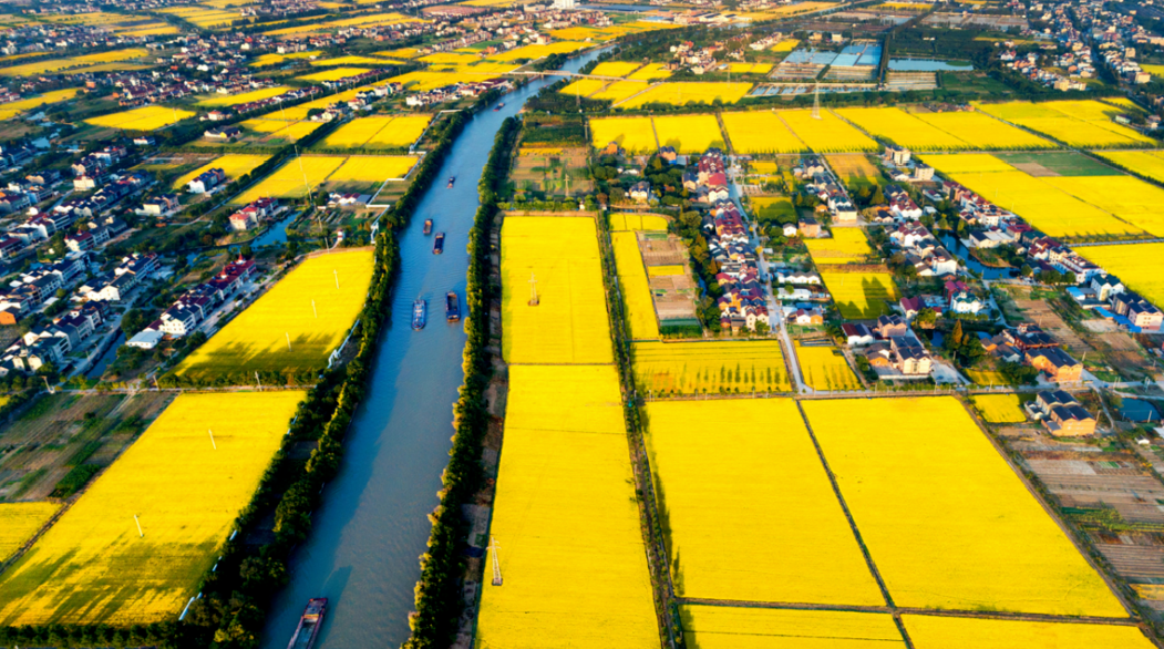 2014全省大学生创新创业交流会展览项目信息表_乡村振兴 农民工返乡创业_乡村振兴创新创业项目