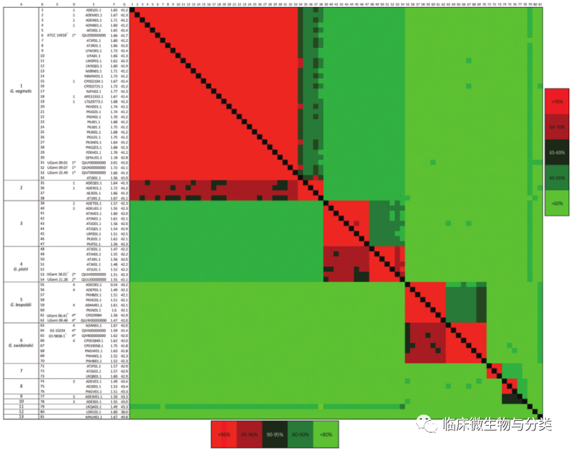 BV唾液酸酶是什么加德纳属修订：3个新种及13个基因种_https://www.jmylbn.com_新闻资讯_第4张