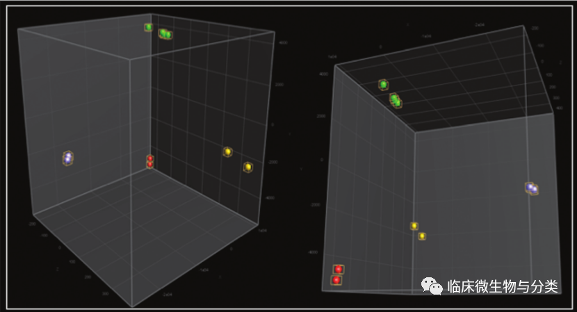 BV唾液酸酶是什么加德纳属修订：3个新种及13个基因种_https://www.jmylbn.com_新闻资讯_第3张