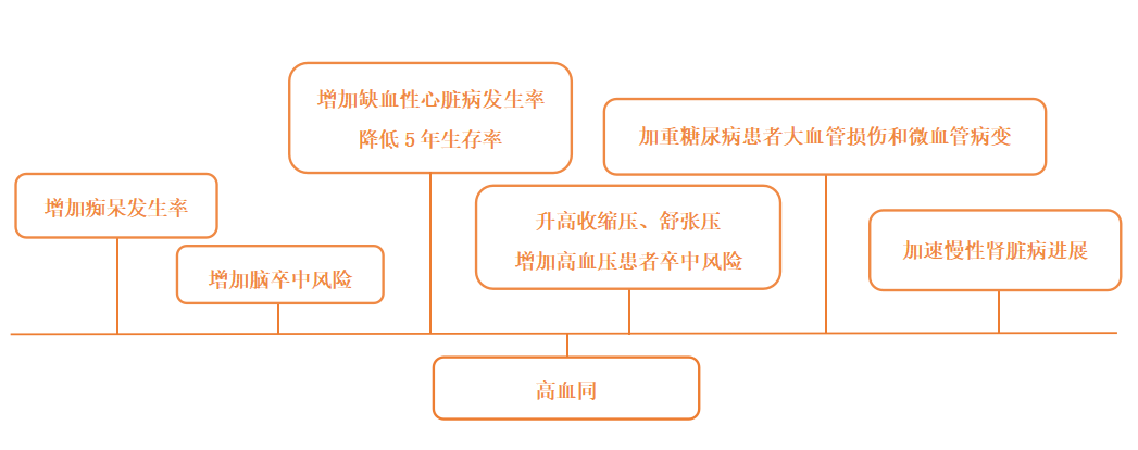 同型半氨酸怎么化验【微科普】正视体检报告里的“血同型半胱氨酸”_https://www.jmylbn.com_新闻资讯_第4张
