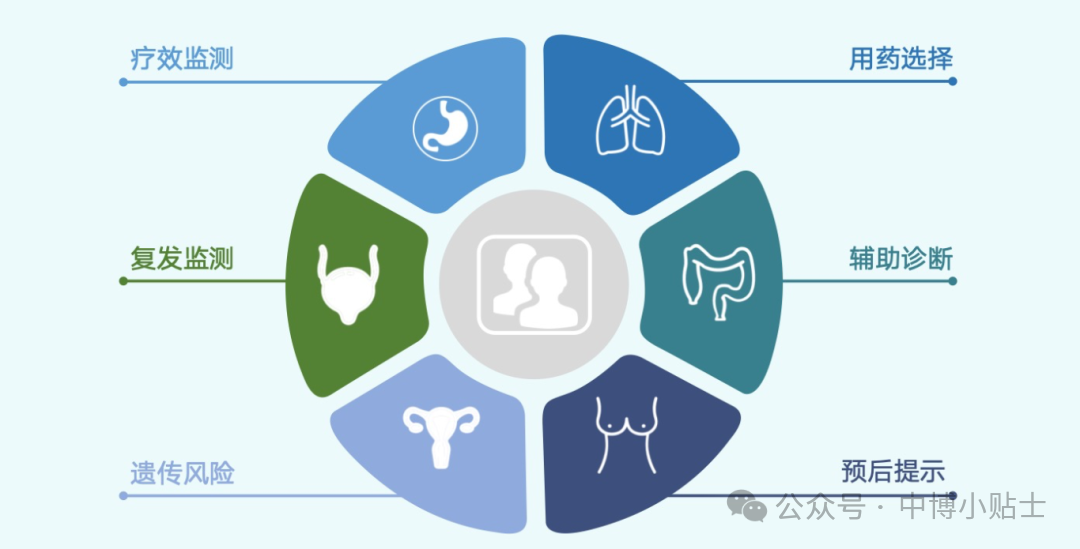 成都金牛检查胰腺癌靶向治疗基因检测哪家机构最好（附2025年最新中心）
