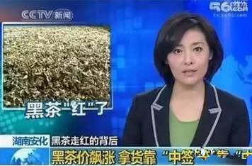 为什么安化黑茶能上央视！实地考察比听来的靠谱。