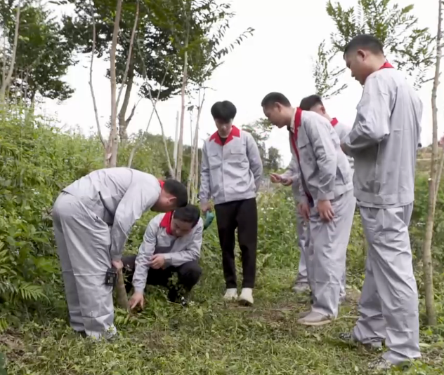 养牛视频致富经_农业节目致富经养牛视频_致富经养牛视频