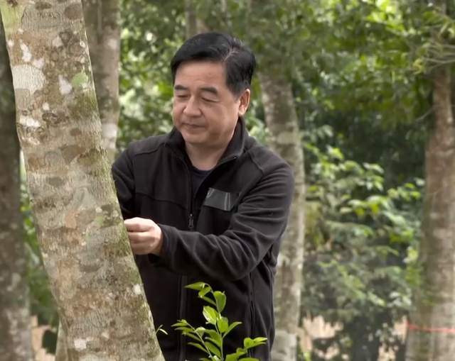 致富经养牛视频_养牛视频致富经_农业节目致富经养牛视频