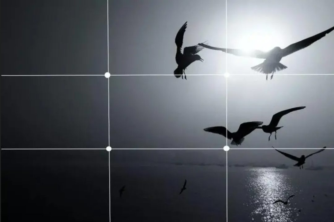 抖音运营技巧 ｜ 2025年超详细短视频拍摄入门教程，手机拍摄必用技巧来袭！