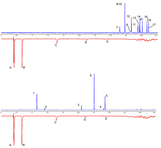 干貨分享丨硫化物在線分析——PLOT柱