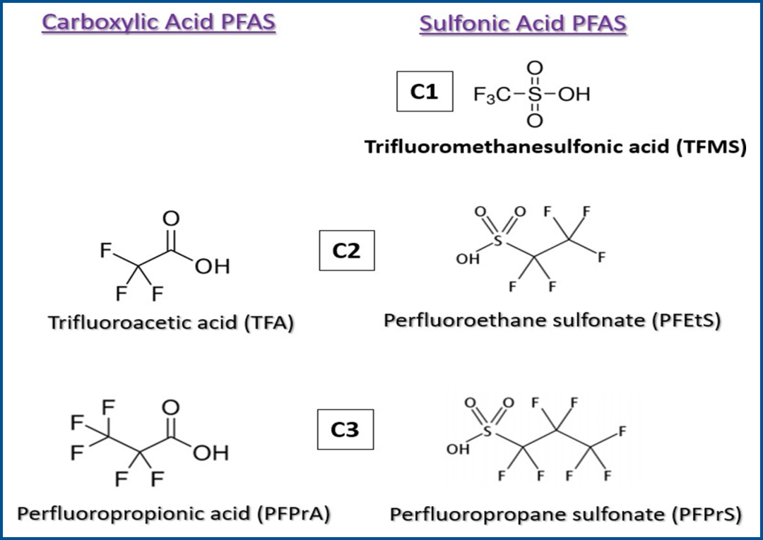 人血漿和血清中超短鏈至長鏈（C1 - C10）PFAS及替代物的分析