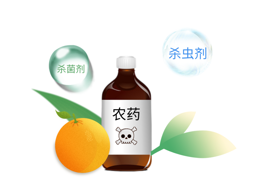 標準應(yīng)用方案 | 在Rxi-5ms上測定食品中11種甲氧基丙烯酸酯類殺菌劑的殘留量