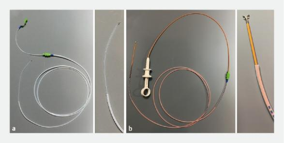 活检钳怎么用【京都大学】胆囊肿瘤活检新技术：使用支架输送系统和活检钳_https://www.jmylbn.com_新闻资讯_第4张