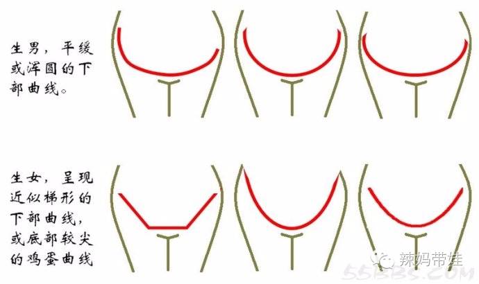 生男生女早知道的N个方法 据说准确率高达80%以上