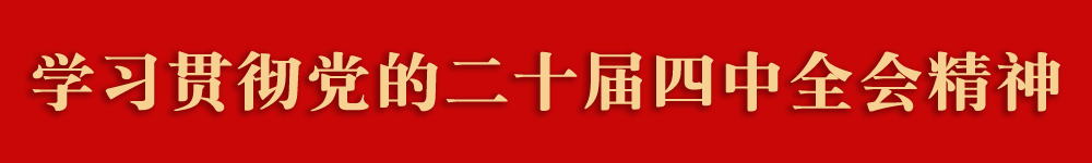 学习贯彻党的二十届四中全会精神.png
