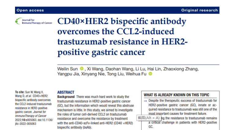 人才视界 | 付蔚华课题组J Immunother Cancer揭示HER2阳性胃癌靶向耐药的免疫新机制