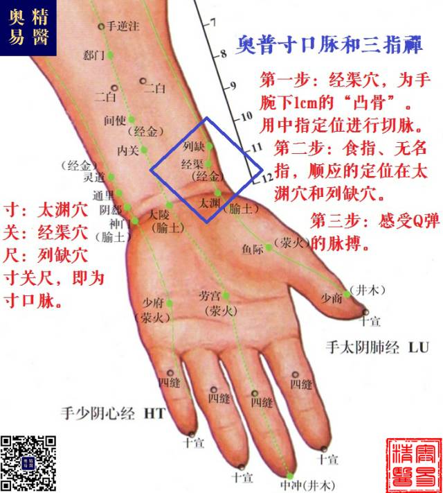 脉诊绝不是唯一的诊断，单独切脉不可能三指遍知病症