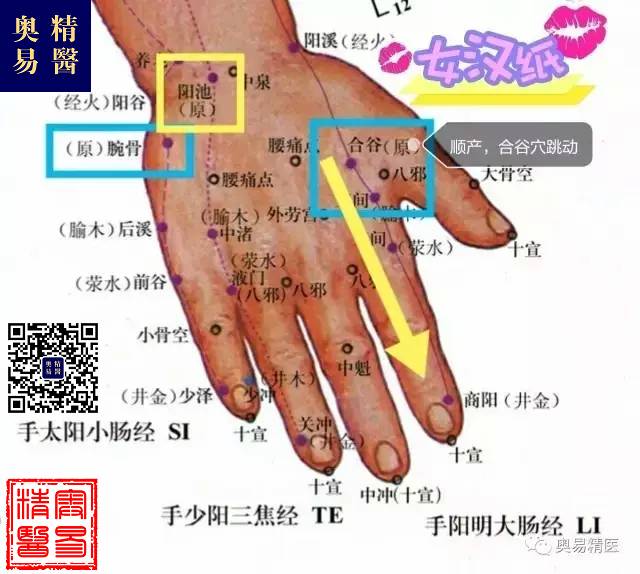 脉诊绝不是唯一的诊断，单独切脉不可能三指遍知病症