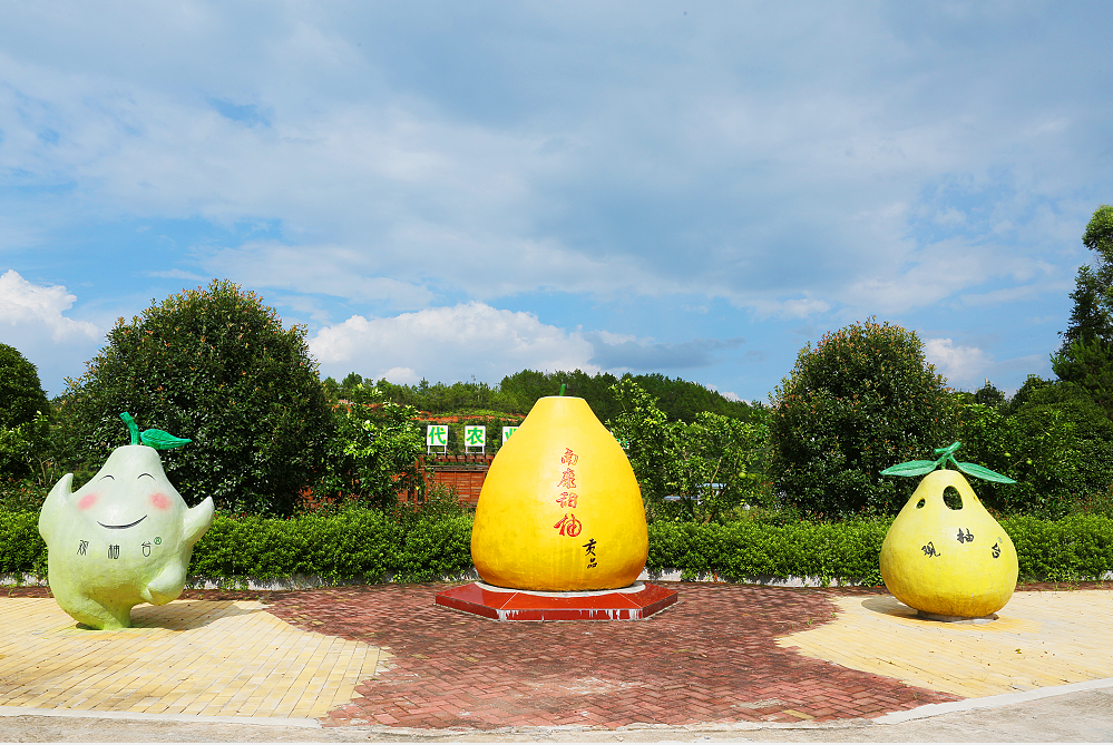 秋游丰收季丨南康旅游精品路线江西赣州文旅