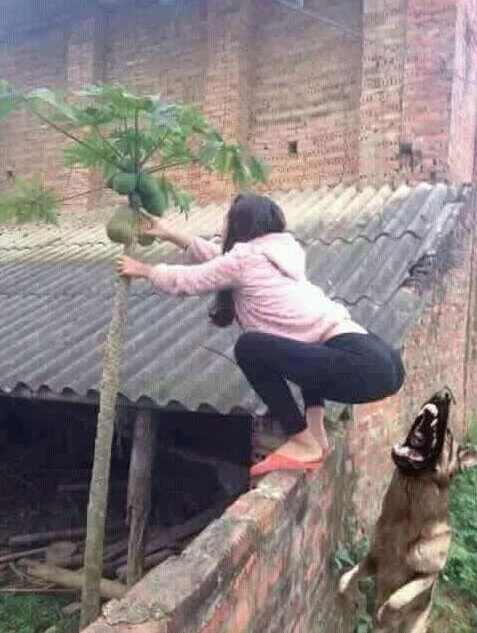 21张网友的倒霉瞬间，感觉可怜的同时又忍不住想笑