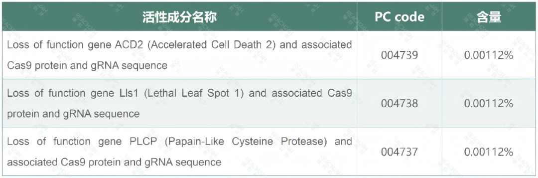 文字文稿1_01.png
