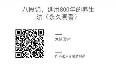杨氏太极拳85式 简化42太极拳简化24式太极拳陈氏老架二路炮捶陈氏老架一路拳陈式32摔法、擒拿陈小旺大师养生桩功教学...
