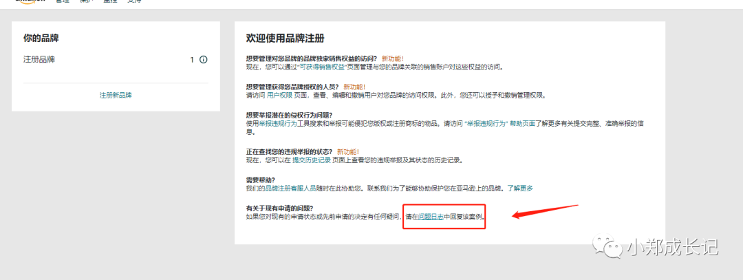 什么是亚马逊品牌注册（备案）？亚马逊品牌备案详细注册教程 第10张