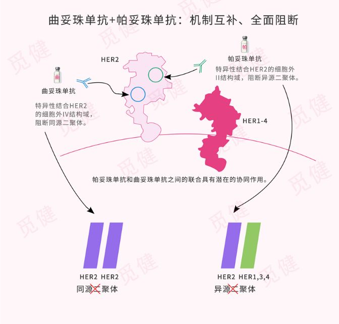 搜狗截图19年07月10日2155_12.png