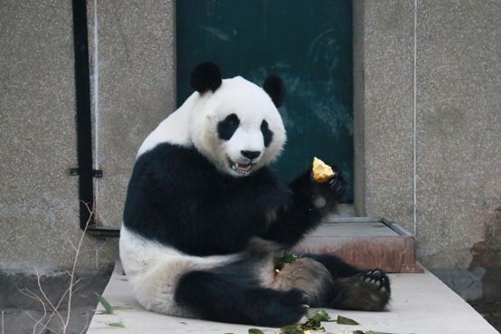 ´߻㡿쿴èʹڳԽ´