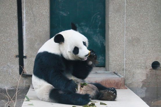 ´߻㡿쿴èʹڳԽ´