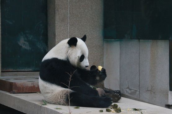 ´߻㡿쿴èʹڳԽ´