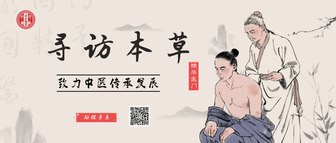 庐山本草之淫羊藿