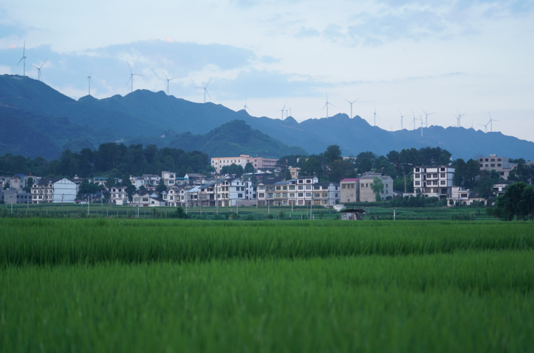 金沙逐绿而行生态兴绿色发展谱新篇