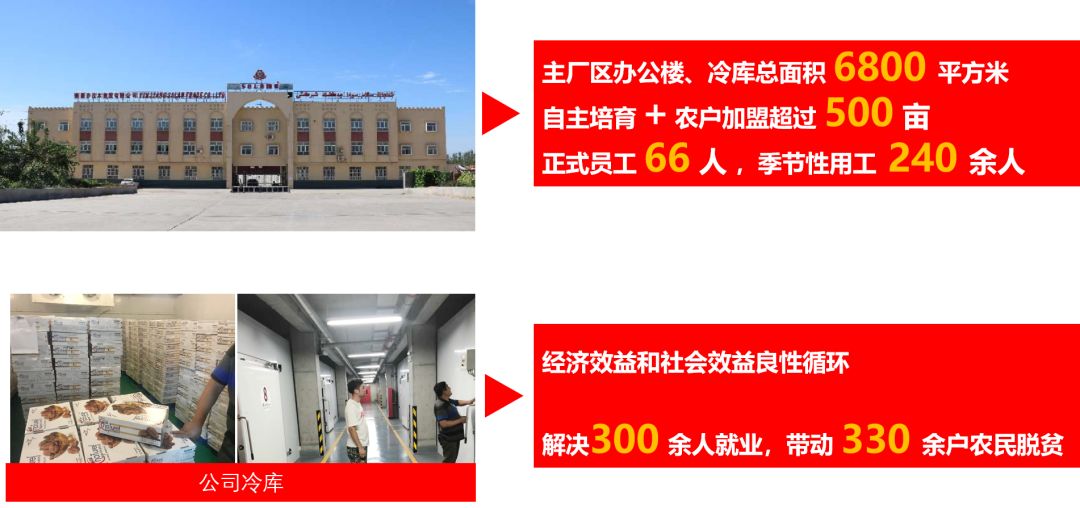 28商机网创业项目_中国店网创业项目_吐鲁番创业项目网