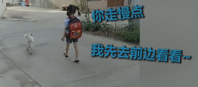 小時候，狗狗陪我上下學… 寵物 第2張