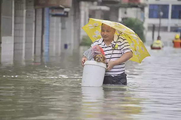 雨雨雨…大雨天遛狗，瘋了嗎？ 寵物 第22張