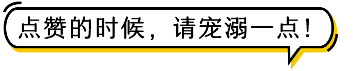 今天,我被一只狗狗的眼神给“镇住”了…-微信头条网 今天,我被一只狗狗的眼神给“镇住”了…