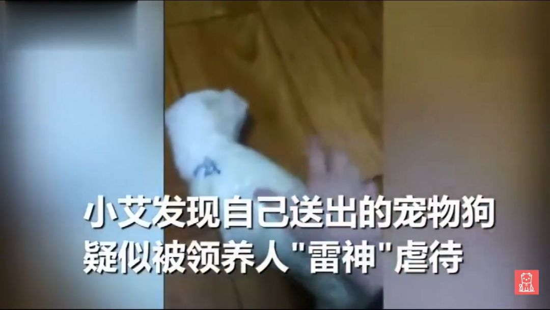 男子虐狗被人圍堵竟自己報警，到警局之後...... 寵物 第2張