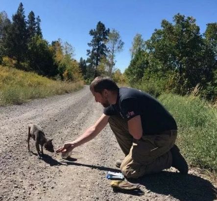 命運的安排！消防員路過深山老林，竟發現了一隻受傷的小狗... 寵物 第3張