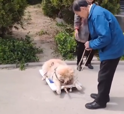 “你就是我们的家人!”-微信头条网 “你就是我们的家人!”