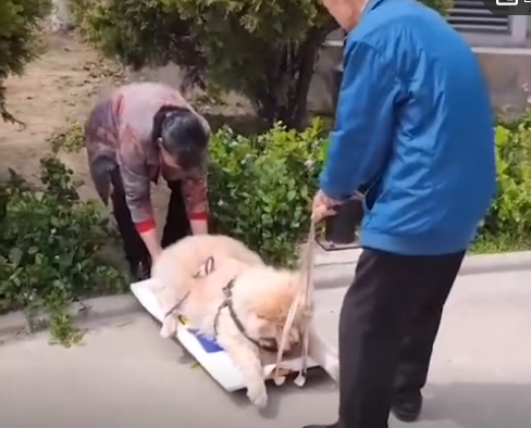 “你就是我们的家人!”-微信头条网 “你就是我们的家人!”