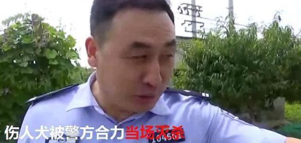 阿姨被自家愛犬撕咬，警察趕到當場撲殺。阿姨：整整養了十年！ 寵物 第5張