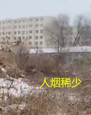 上一秒闹着出门,下一秒就被大雪“劝退”,狗子:好丢脸…-微信头条网 上一秒闹着出门,下一秒就被大雪“劝退”,狗子:好丢脸…