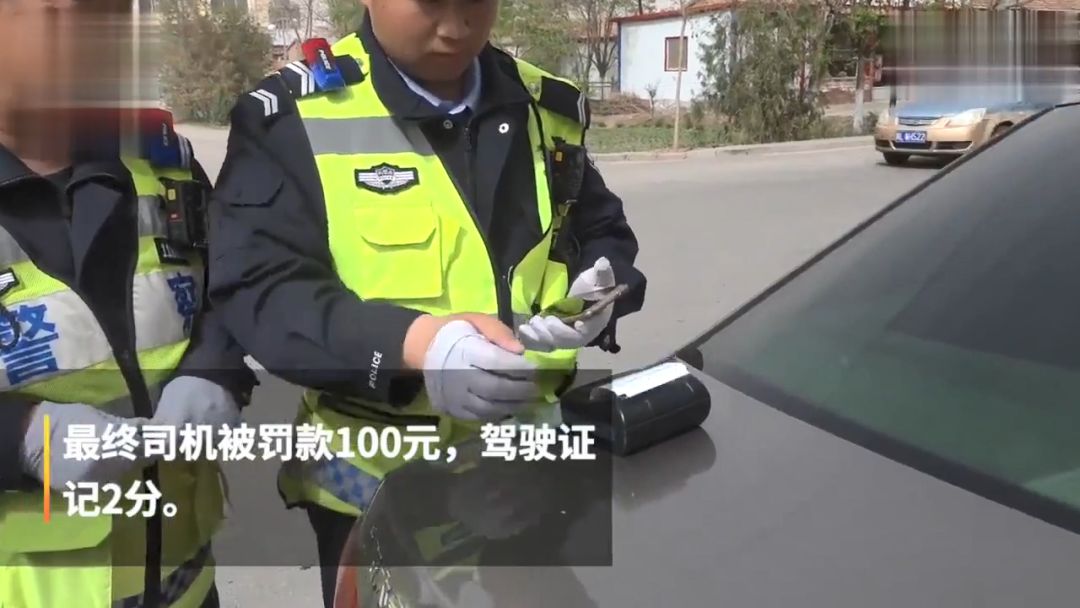 開車帶狗兜風竟被扣分罰款？打開車門一看，這處罰不冤！ 寵物 第5張