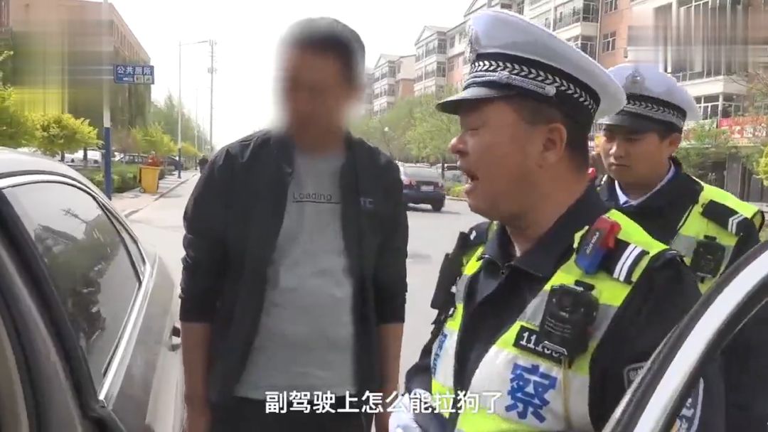 開車帶狗兜風竟被扣分罰款？打開車門一看，這處罰不冤！ 寵物 第4張