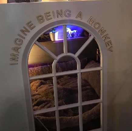 高齡老狗受盡磨難，被收養後不肯親近人類。直到主人做了這件事後... 寵物 第21張