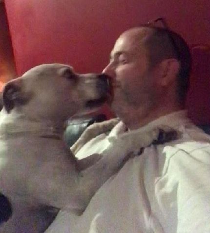 高齡老狗受盡磨難，被收養後不肯親近人類。直到主人做了這件事後... 寵物 第2張