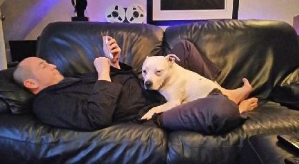 高齡老狗受盡磨難，被收養後不肯親近人類。直到主人做了這件事後... 寵物 第23張